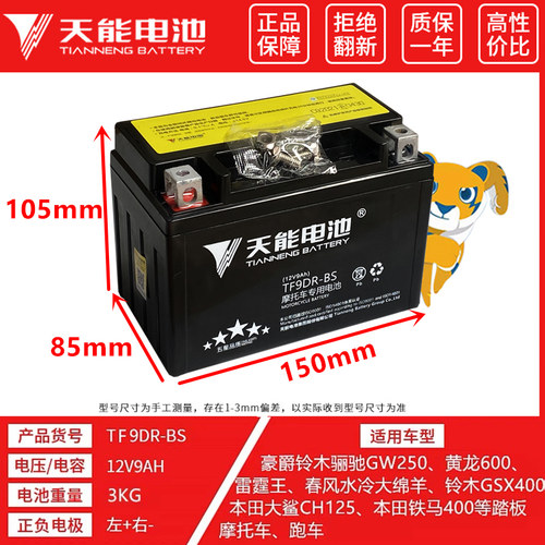 GW250黄龙600/300摩托车电瓶