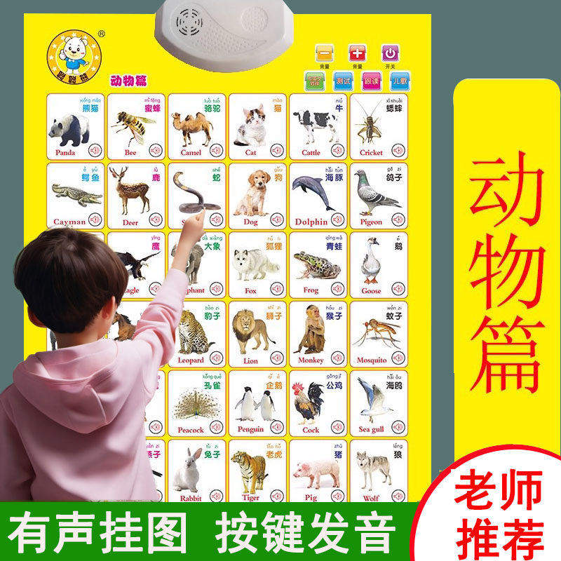 人物儿童有声挂图宝宝认识动物水果蔬菜书挂图发音3d图片读物识别