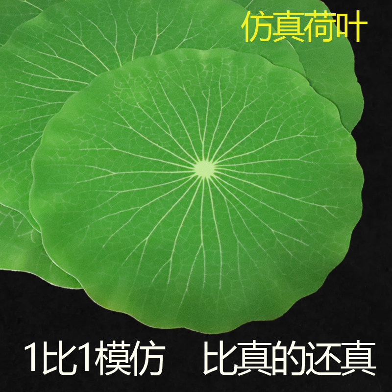 仿真荷叶塑料绿叶子水果食物装饰芭蕉叶树叶道具荷花海鲜冰台摆放