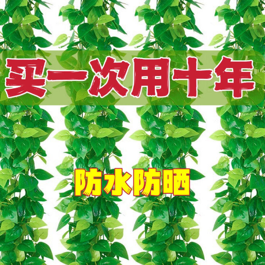 仿真绿箩叶子藤条藤蔓植物树叶绿叶水管道吊顶装饰塑料绿萝叶子