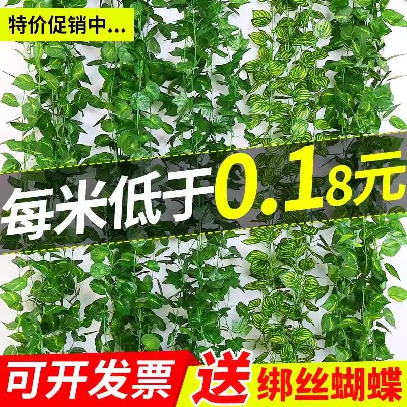 假花绿叶藤条吊顶装饰树叶仿真葡萄叶塑料绿萝藤蔓绿植水管道缠绕,鲜花速递/花卉仿真/绿植园艺,仿真绿植,淘宝优惠券,粉丝福利购,淘宝优惠卷