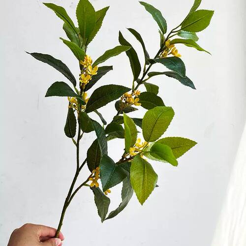 仿真桂花叶插花摆件道具常青月桂