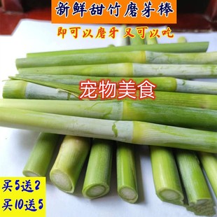 新鲜甜竹磨牙棒宠物兔子仓鼠豚鼠龙猫饲料粮苹果枝磨牙石草饼棒