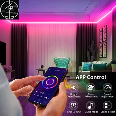 12V LED Strip Neon Lights Tuya Smart Life WiFi Bluetooth RGB