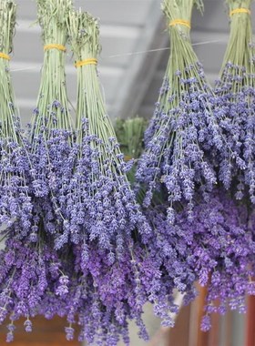 lavender dried flower bouquet natural dried flower lavender
