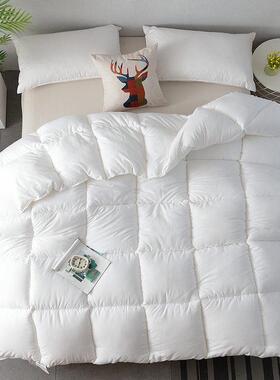 winter duvet quilted quilt king queen twin size comforter 被