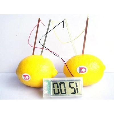 potato clock novel green science project experiment kit kids