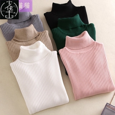 Women Sweaters Winter Autumn Turtleneck Sweater Elastic 高领