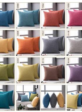 Solid-colored throw pillows Pink Cushions velvet backrest