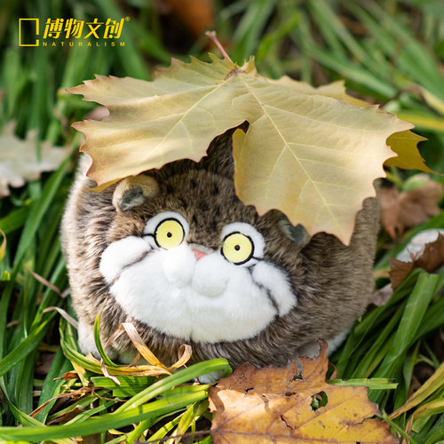 中国国家地理博物文创圆宝兔狲毛绒玩偶公仔女友闺蜜节日生日礼物 - 封面