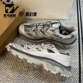 Silver Gray 478760