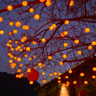 2025新款太阳能柿子灯彩灯气氛灯灯串笼挂树上户外庭院院子装饰灯