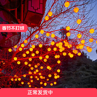 户外太阳能柿子灯串彩灯2026新款氛围灯笼过新年庭院挂树上装饰灯