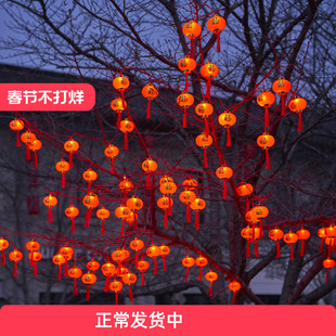 太阳能红小灯笼户外庭院灯串家用阳台2025春节新年款装饰防水彩灯