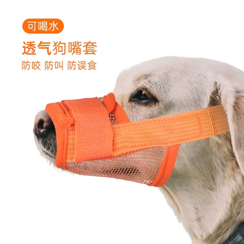 Корпус собаки анти -салона и анти -ругая маска золота