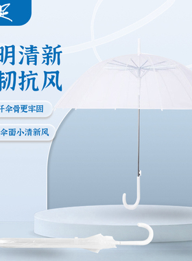 十足雨伞单双人半自动透明防风长柄直柄伞网红简约
