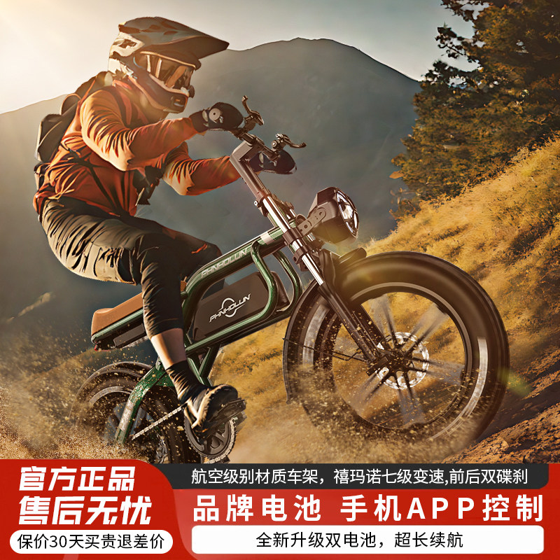 电动越野助力小自行车电瓶车锂电池复古20寸全地形成人沙地代步车