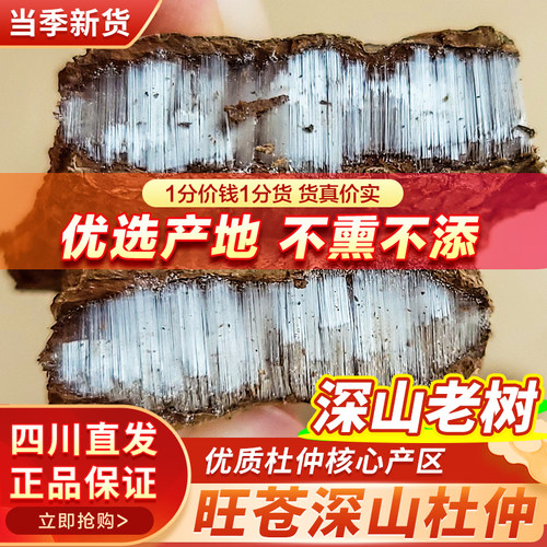 杜仲500g正宗四川旺苍杜仲中药材特级杜肿树磨皮泡茶泡酒泡水
