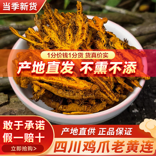 【产地直发】四川野生鸡爪黄莲