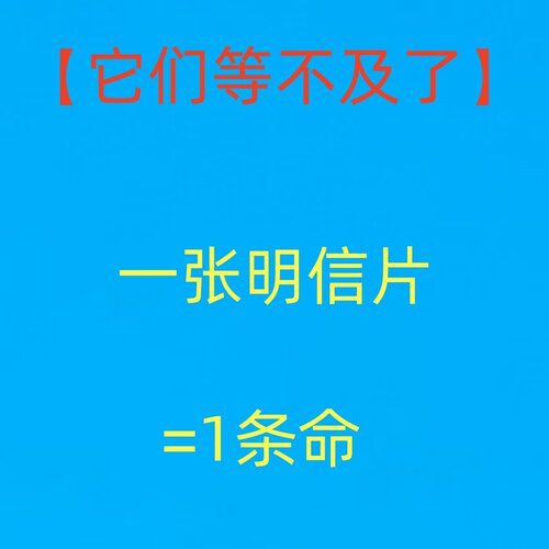 街头无主动物明信片代替狗粮直接发往基地