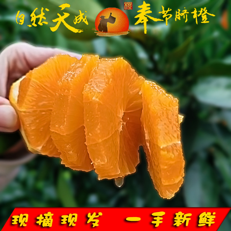 奉节脐橙纽荷尔橙现摘现发孕妇当季新鲜水果柳橙重庆橙子整箱包邮