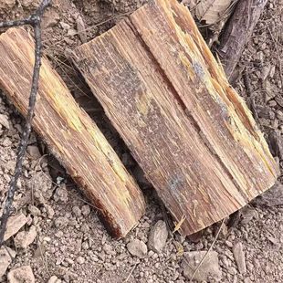 松明子引火户外火柴烧烤家用固体燃料木炭生火手串工艺品