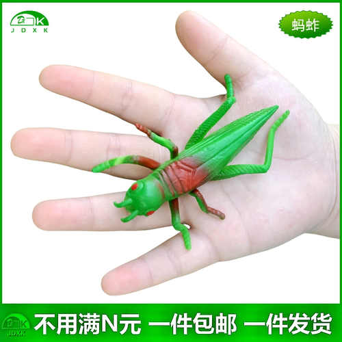 仿真螳螂蚂蚱软胶包邮玩具