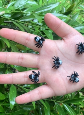 软胶仿真小蜘蛛迷你超小创意幼儿园儿童玩具塑胶昆虫静态动物模型