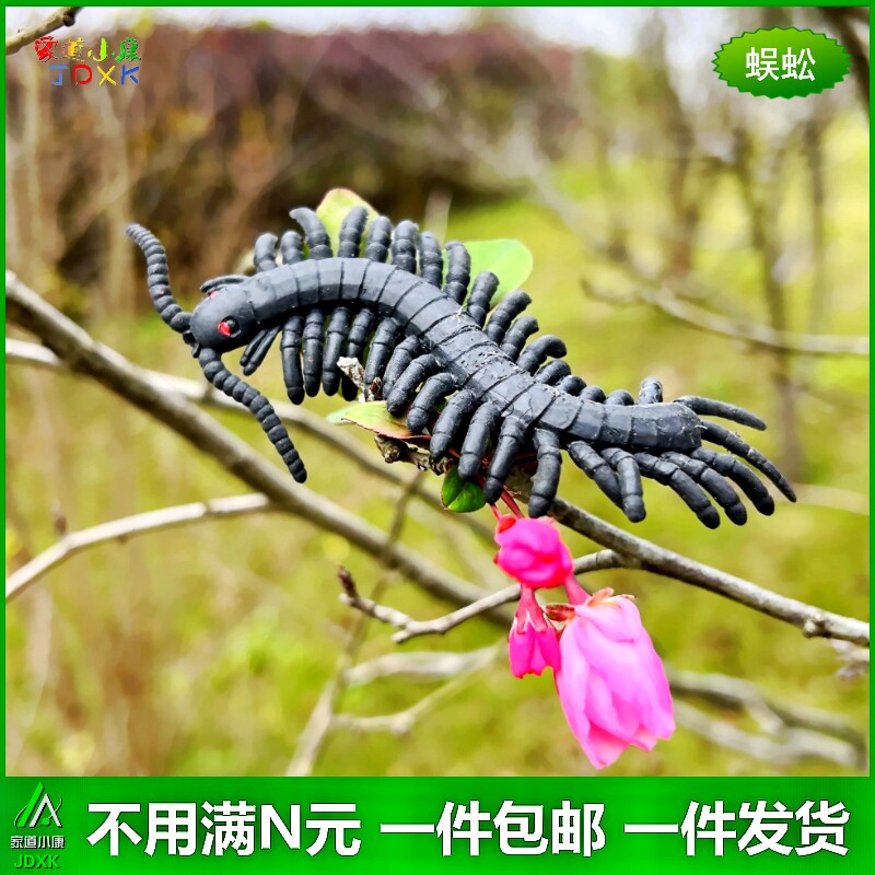 儿童玩具动物模型包邮