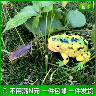 仿真青蛙玩具捏捏叫BB哨会发声儿童益智认知早教吓人蛤蟆动物模型