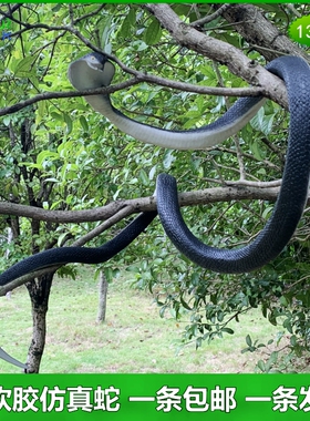 大号蛇软胶眼镜王蛇吓人塑胶玩具蛇蛇仿真动物玩偶仿真动物玩具