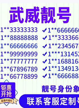 甘肃武威手机好号靓号手机电话吉祥号码卡情侣自选号全国通用选号