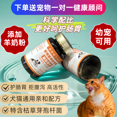 梧桐树下的猫猫狗益生菌肠胃调理