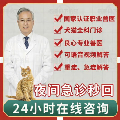 宠物医院猫咪狗狗生病问诊兽医