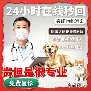宠物医生在线问诊24小时猫狗医院诊疗咨询兽医线上犬动物看诊问诊