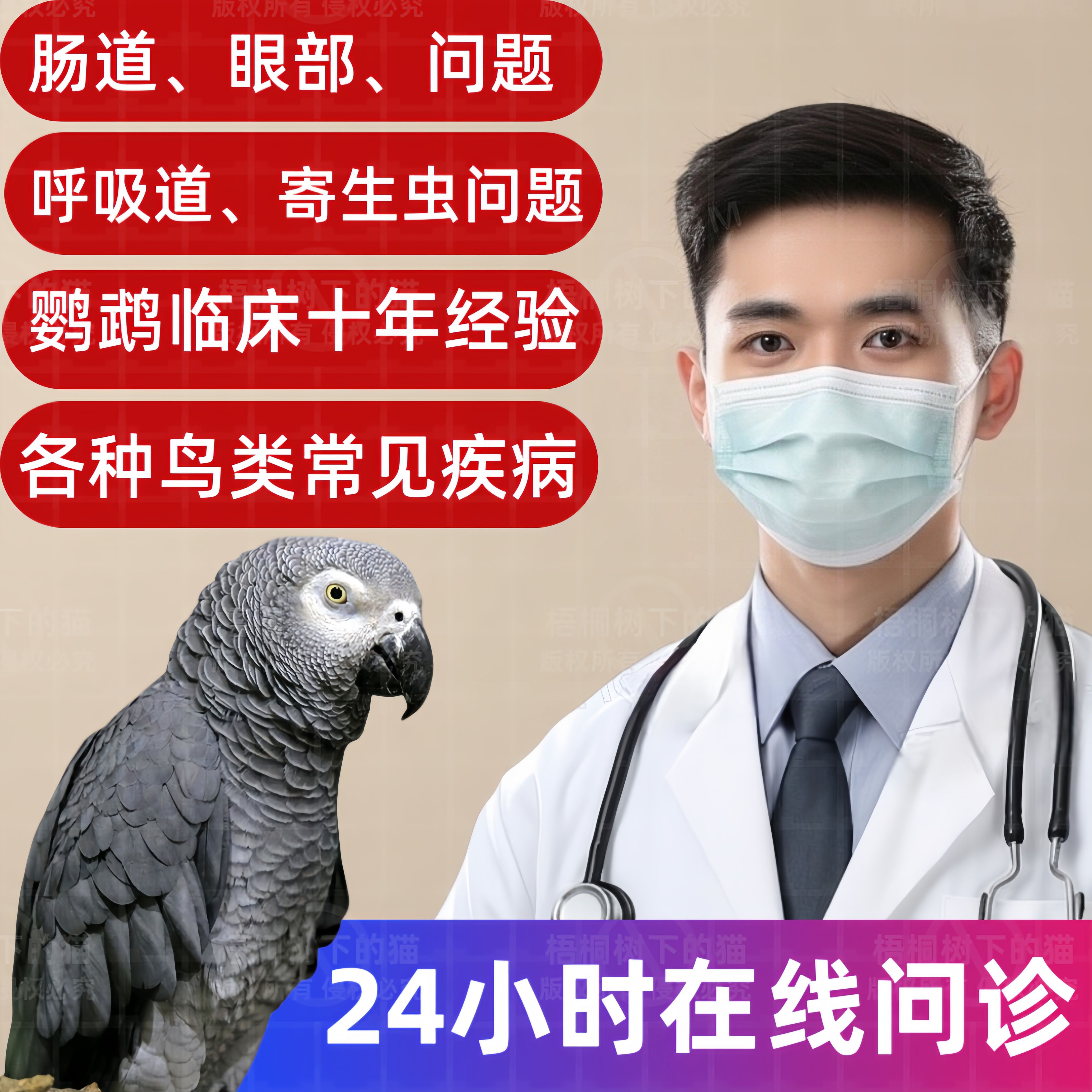 鹦鹉生病咨询问诊牡丹玄风鸟问诊鹦鹉宠物医生24在线诊疗异宠问诊,宠物/宠物食品及用品,在线问诊,淘宝优惠券,粉丝福利购,淘宝优惠卷