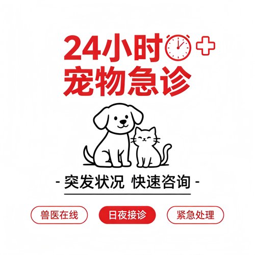 宠物医生在线问诊兽医24小时问诊