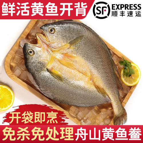 好多海鲜活开背舟山深水大黄鱼