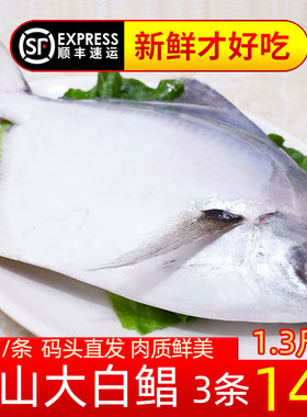 舟山海鲜新鲜大白鲳鱼冰鲜昌鱼银鲳扁鱼生鲜平鱼东海水产鲜活冷冻