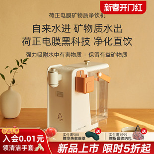 利快荷正电膜矿物质净饮机原装滤芯家用养生壶净化饮水机泡奶器