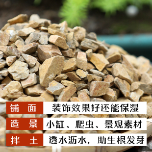 天然风化石仙人球兰花石斛多肉生根营养土种桩风化土铺面透气保湿