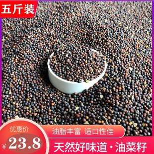 优质油菜籽鹦鹉饲料粮食玄凤虎皮牡丹鸟食珍珠鸟文鸟鸟粮五斤包邮