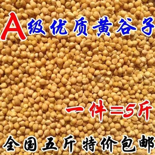大颗粒黄谷子带壳小米虎皮牡丹玄凤中小型鹦鹉文鸟鸟粮鸟食鸟饲料