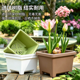 小果汀加厚花盆阳台方形球根朱顶红满天星铃兰花种植盆方形