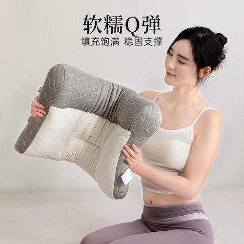 FlixSleeps护颈枕助睡眠枕头单人睡觉睡枕家用夏季牵引枕芯不塌陷