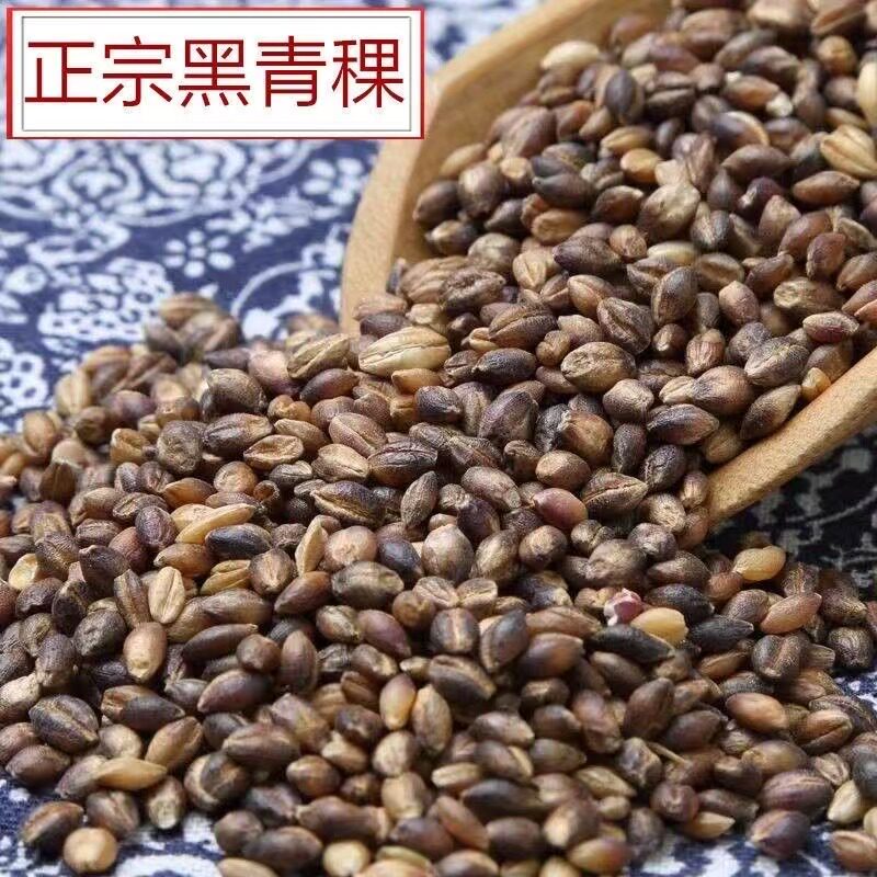 藏区新货优质黑青稞脱皮黑青稞农家自产五谷杂粮代餐粗粮糖友主食