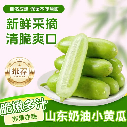 山东奶油黄瓜小黄瓜新鲜采摘脆嫩爽口产地直发