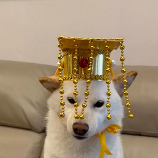 古代皇帝帽子龙图搞笑儿童创意古装大汉天子帽拍摄道具生日礼物冠