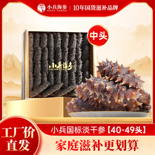 国标参500g孕妇老人孩子吃 小兵海参 斤 49头 健康营养参