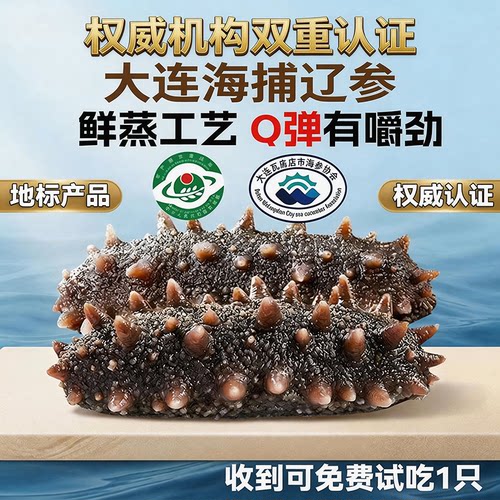 海参刺参野生货便宜即食新鲜